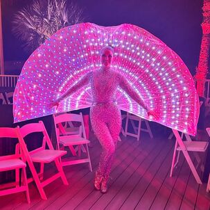 LED Peacock