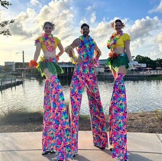 Stilt walker. circus entertainment. 